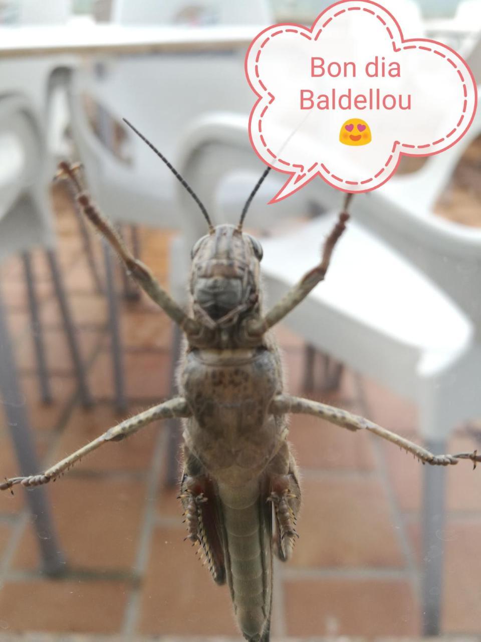 Casa Albano Pansiyon Baldellou Dış mekan fotoğraf